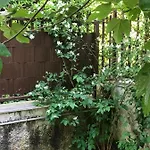 Aiace 40 *