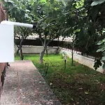Aiace 40